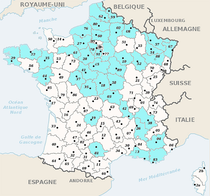 CARTE anafodom